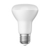 E27 LED lampadina, R63, bianca calda (2700 K), 8 W, 750lm, opaco